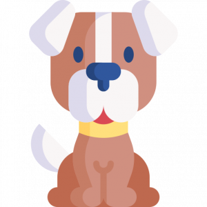 MASCOTAS